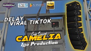 Download lagu CEK SOUND DELAY // CAMELIA // DELAY VERSION mp3