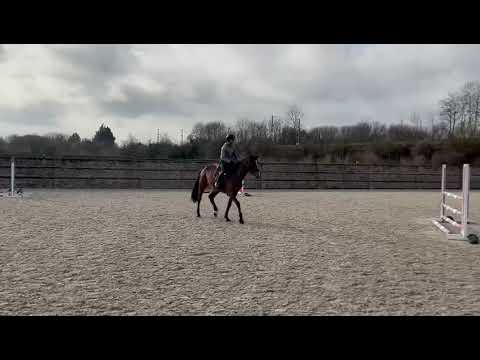 JENNY DE LA PISTOLE 1