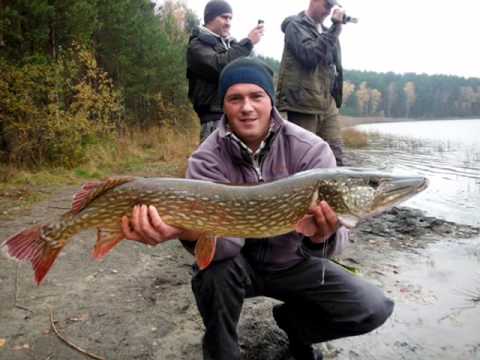 Tuszynek zarybianie szczupakiem - Carp Team Trojmiasto