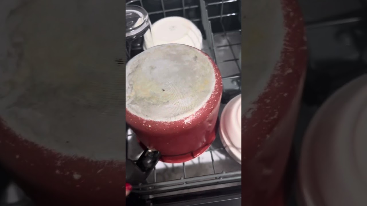 RESENHA LAVA LOUÇAS PRAXIS - PRIMEIRA LAVAGEM - OPINIÃO SINCERA - PARTE 1