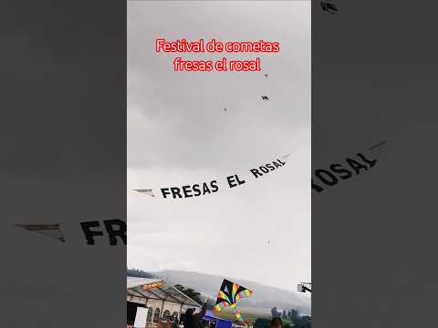 festivsl de cometas fresas el rosal sibate cundinamar cundinamarca #colombia