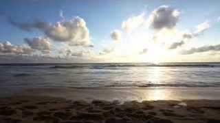 ♫ Relaxing Meditation Music and Ocean Waves ♫