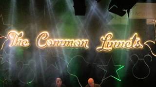 The Common Linnets - Better Than That