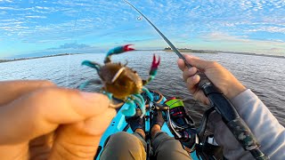 As Good Real Bait? Fake Crab Catches BIG Sheepshead