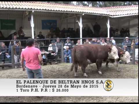 28-05-15 Venta de Toros PH.P.R. - El Palenque de Beltran Hnos S.A. - Bordenave