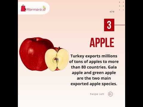 THE BEST PRODUCTS TO IMPORT FROM TURKEY - Marmara.Id