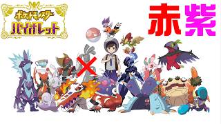 赤紫色縛りで新作のポケモンをついにやる男。#8【バイオレット】