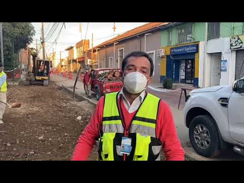 Municipio compromete plantación de árboles nativos en calle Independencia entre Freire y Bernardo O’Higgins