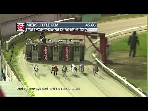 2020 KENT ST LEGER - HEAT 4 - T6 MICKS LITTLE GEM