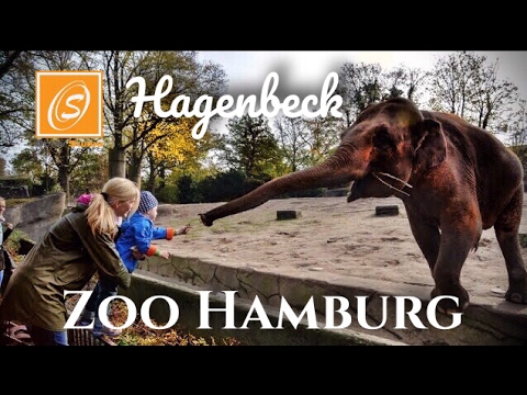 Tierpark Hagenbeck (Zoo Hamburg)