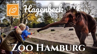 preview picture of video 'Tierpark Hagenbeck (Zoo Hamburg)'