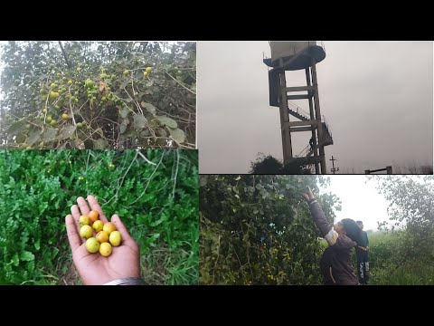 Pinda da view, 🥰🥰💯👍👍