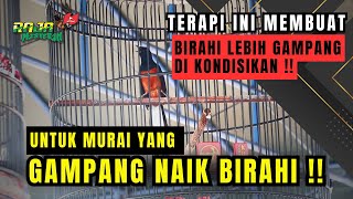 Download lagu THERAPY FOR OVER-LUST MURAI BATU WHEN HANGED ‼️ mp3