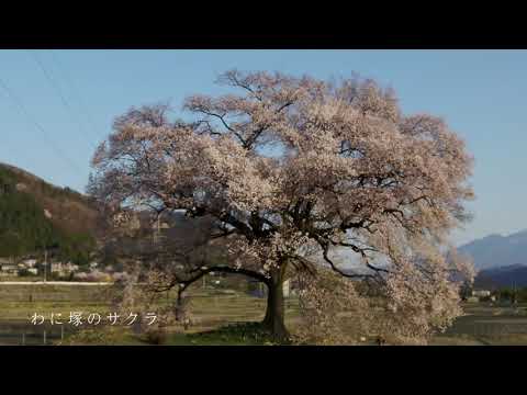 やまなしドローン紀行【韮崎市】