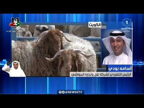img-video