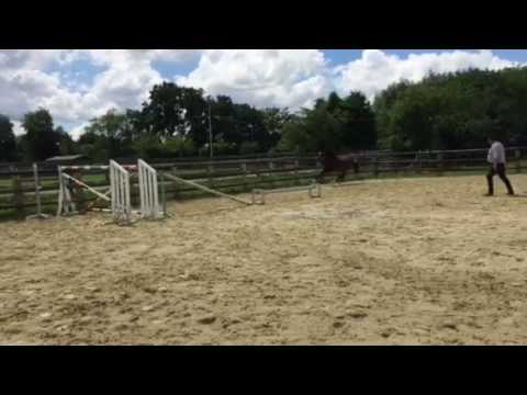 Cornet obolensky x diamant semilly 3 jaar