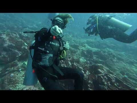 Diving on the Island of Hiva Oa in the Marquesas