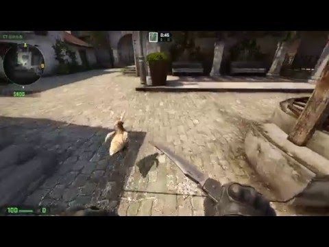 Steam Community :: Video :: CSGO rabbit chicken