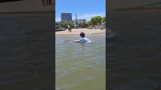 Download lagu 🇦🇺Awesome splashing mp3