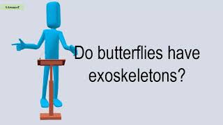 Do Butterflies Have Exoskeletons