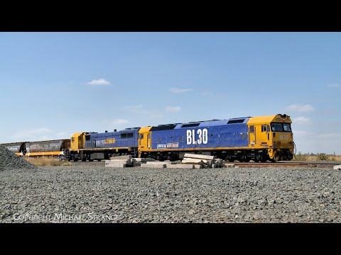 7911V Pacific National Grain Hopper Transfer With BL30 & X50 At Gheringhap (5/2/2025) - PoathTV