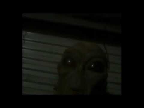 Alienween space capsule