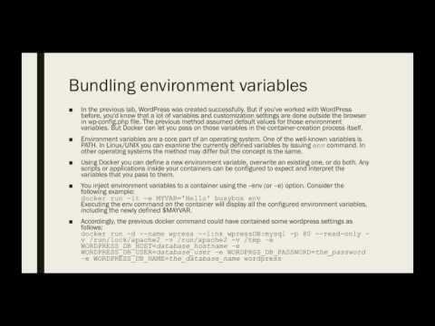Docker for Beginners - Bundling Environment Variables
