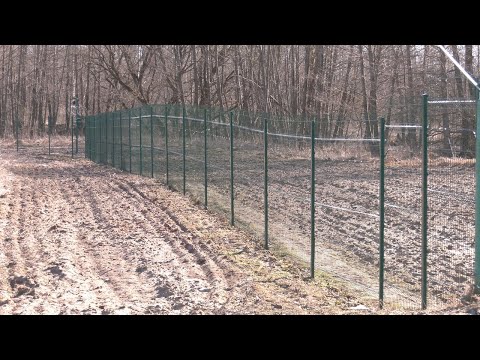 Сітуацыя нга беларуска-украінскай граніцы видео