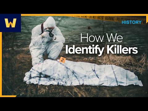 In Pursuit of The Zodiac Killer | Crimes of the Century