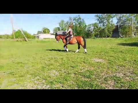 Sulamite for sale un LV