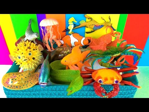 Sea Animals Toy Collection Kids Toys Fish Turtle Octopus Toys Pescado Peixe Funny Ending