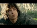 The Lord of the Rings Tribute - Wonderful World ...