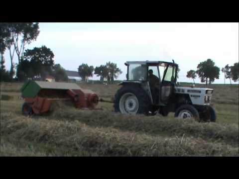 Loonw. Everaet - Zillebeke