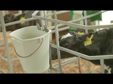 Ausbildung in der Landwirtschaft