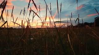 Download lagu Story w.a di pagi hari mp3