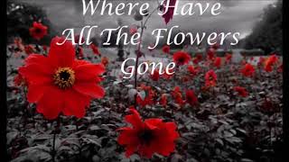 Where have all the flowers gone - David Roth