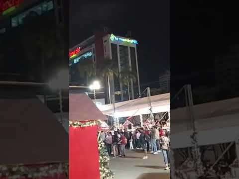 Plaza Victoria Pereira Risaralda