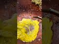 The Best Traditional Caesar Salad Dressing Recipe