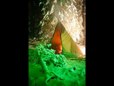 psilo cowboys - sneaky vibes