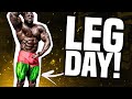 Home Workout w/ Kali Muscle - LEG DAY