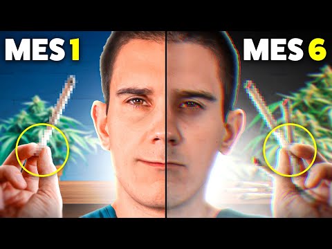 Do you use cannabis? ⚠️ I'll reveal what happens to your brain after 6 months