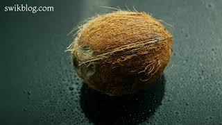 World Coconut Day 2020 | Lifeline of Coastal Areas | DOWNLOAD THIS VIDEO IN MP3, M4A, WEBM, MP4, 3GP ETC