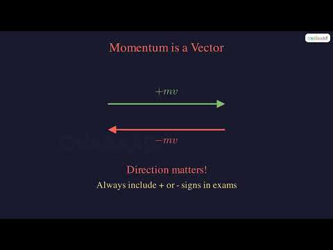 What Is Momentum?