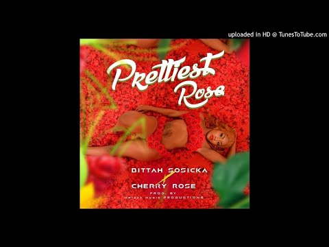 Bittah Sosicka x Cherry Rose - Prettiest Rose