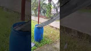 Download lagu jadi seger #viralvideo #trending #funny #viralshorts mp3