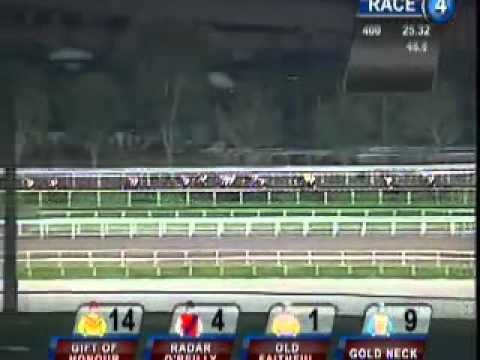 20101015 SG CLASS 5 2000M (SC) - SHINY THUNDER (O Chavez)