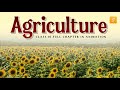 Class 10 Geography Chapter 4: A Complete Agriculture Guide