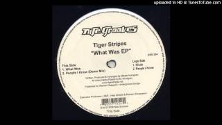 Tiger Stripes - What Was