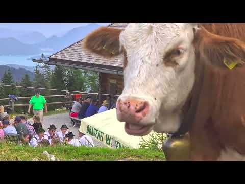 Tanknmusi auf der Wallgaueralm