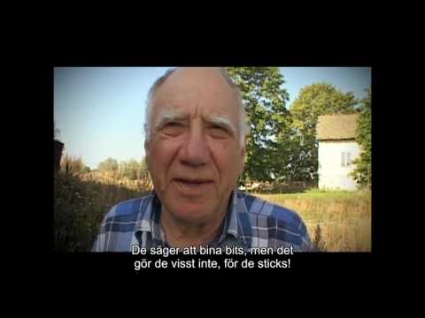 Om Lidingö-i:n (Värsta språket S01E03)